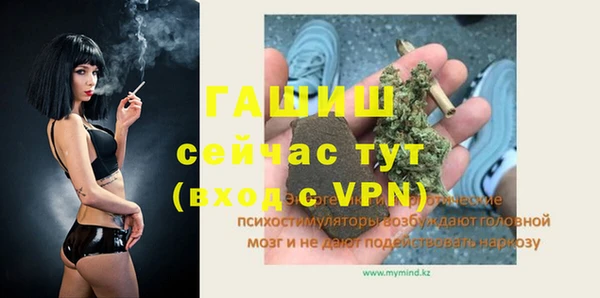 гашик Алексин