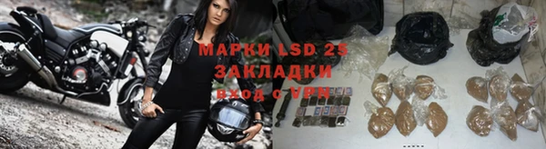 прущие грибы Абинск
