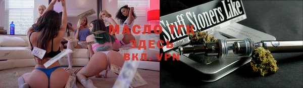 гашик Алексин