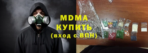 гашик Алексин