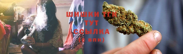 шишки Нягань