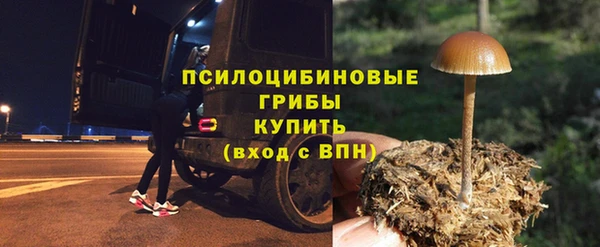 круглые Алексеевка