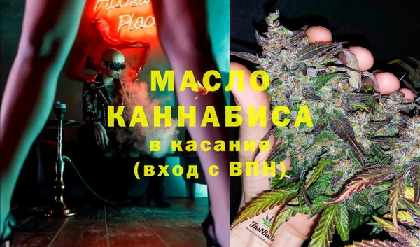 гашик Алексин