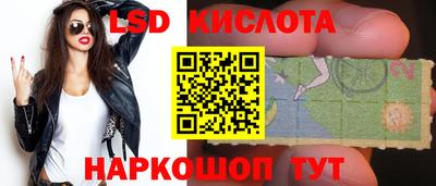spice Кандалакша