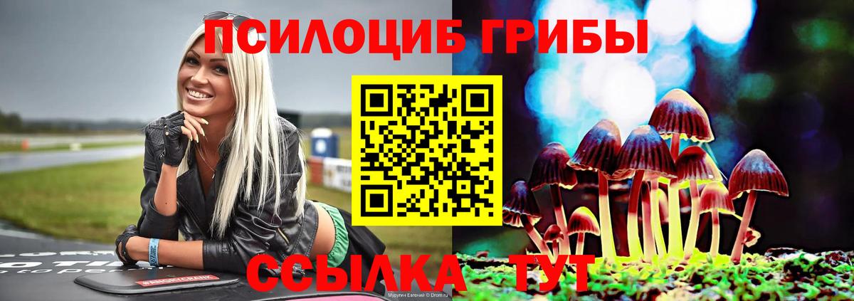 Псилоцибиновые грибы ЛСД  Псилоцибиновые грибы Psilocybine cubensis  Вход с VPN  Сорочинск 